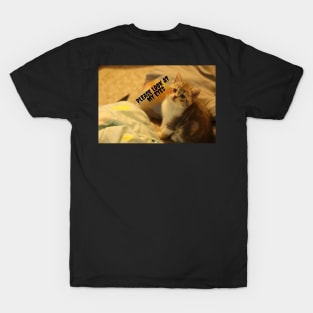 Cats begging you to looking her eyes T-Shirt